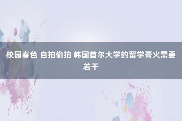 校园春色 自拍偷拍 韩国首尔大学的留学膏火需要若干