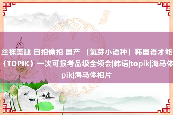 丝袜美腿 自拍偷拍 国产 【氢芽小语种】韩国语才能考试（TOPIK）一次可报考品级全领会|韩语|topik|海马体相片