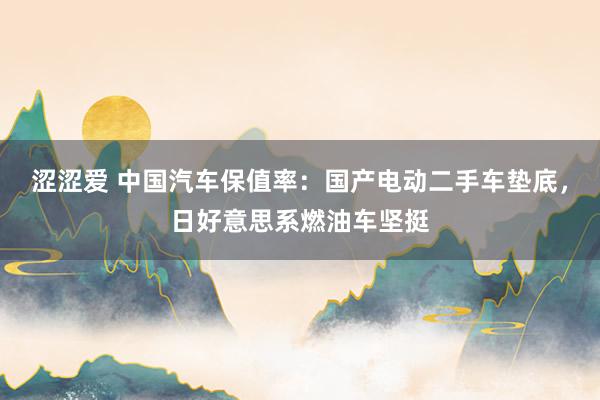 涩涩爱 中国汽车保值率：国产电动二手车垫底，日好意思系燃油车坚挺