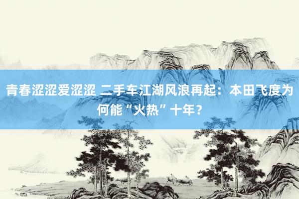 青春涩涩爱涩涩 二手车江湖风浪再起：本田飞度为何能“火热”十年？