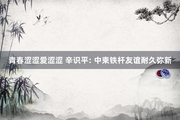 青春涩涩爱涩涩 辛识平: 中柬铁杆友谊耐久弥新